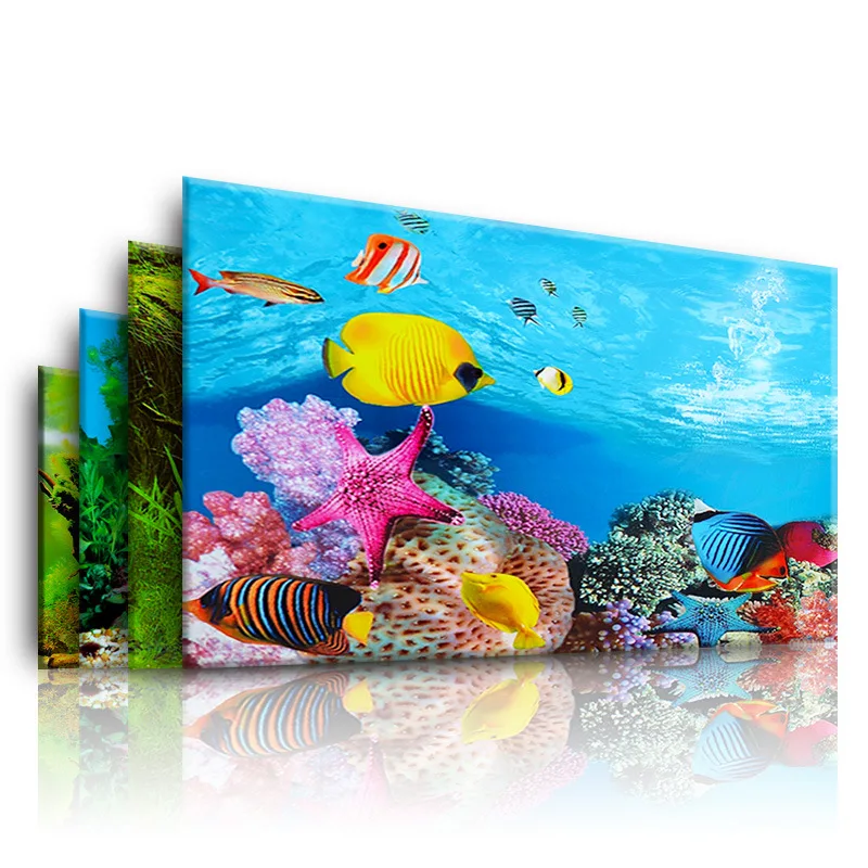 Aquarium Fish Cichlid - Fond pour Aquarium 3d autocollant affiche
