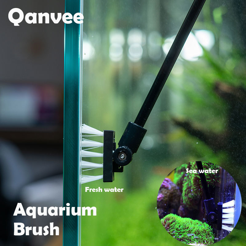 Algae Scraper Blade - Brosse de nettoyage de pêche, réservoir