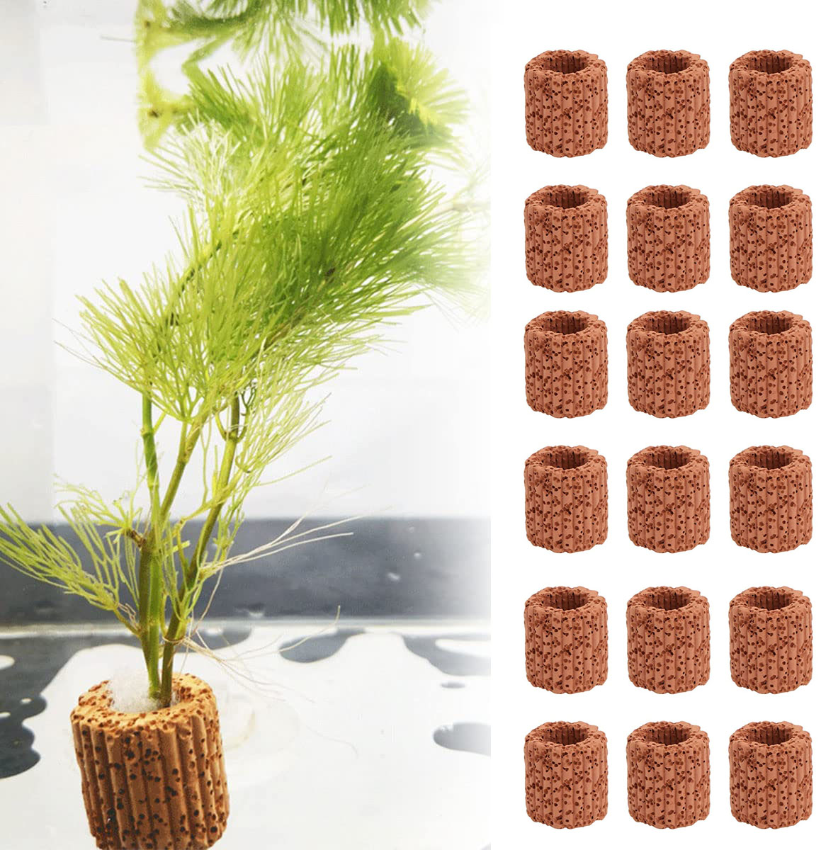 Aquarium Fish Cichlid - Anneau de Base pour Plantes Aquatiques