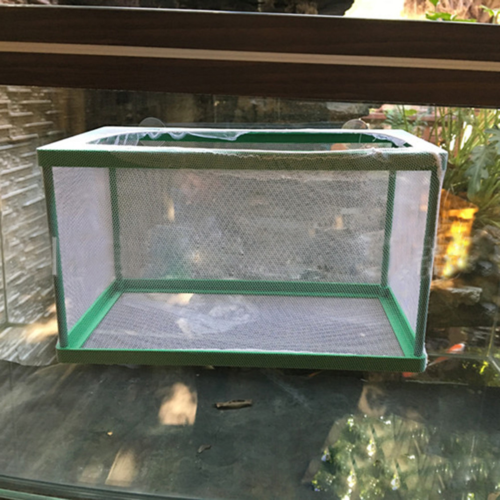 Aquarium Fish Rate - Boîte d'isolement pour l'élevage des poissons