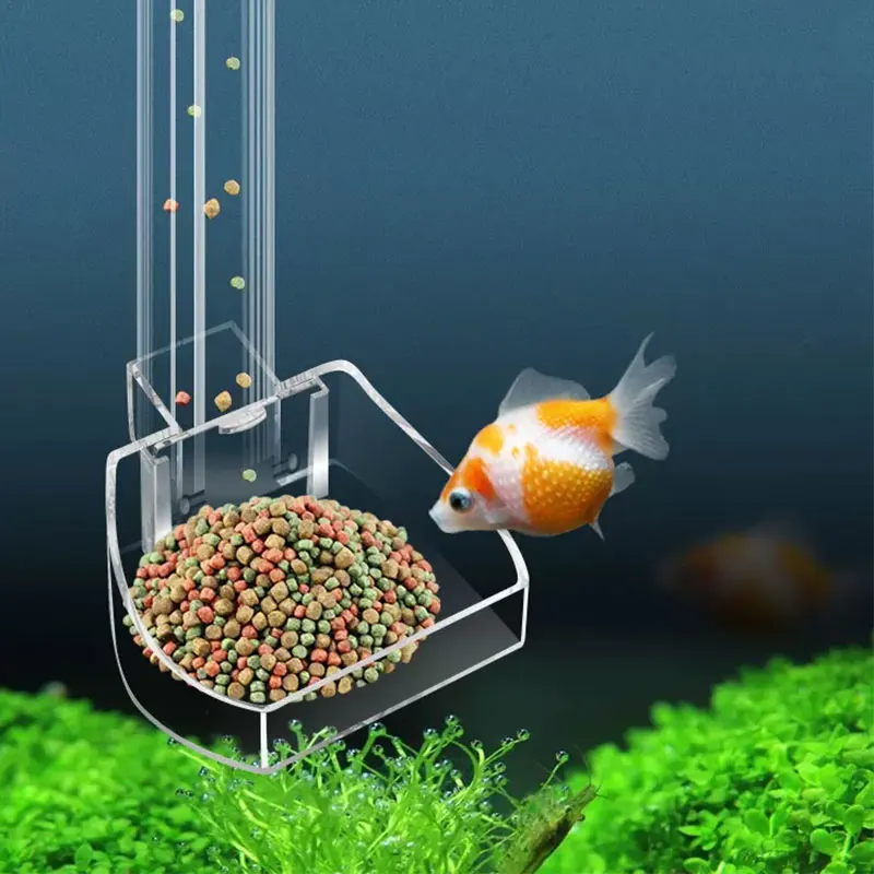 Aquarium Fish Variety - Tube d'alimentation en acrylique pour aquarium,
