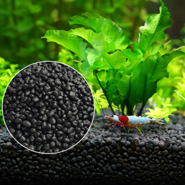 Aquarium Fish Care - Sol de graines de plantes d'aquarium,