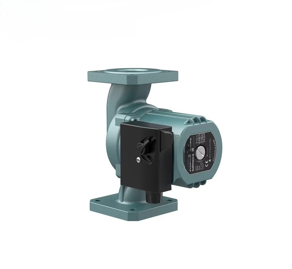 Powerhead Circulation Pump - Pompe à eau chaude à bride
