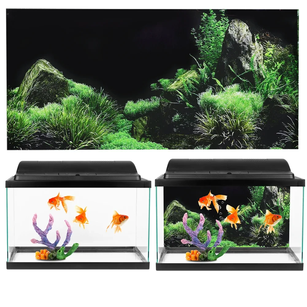 Autocollant de fond 3D pour aq - Aquarium Fish Cichlid avis et prix