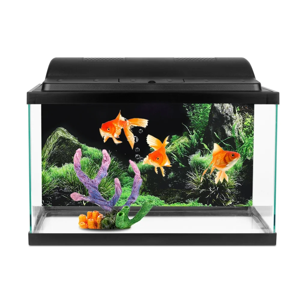 Autocollant de fond 3D pour aq - Aquarium Fish Cichlid avis et prix