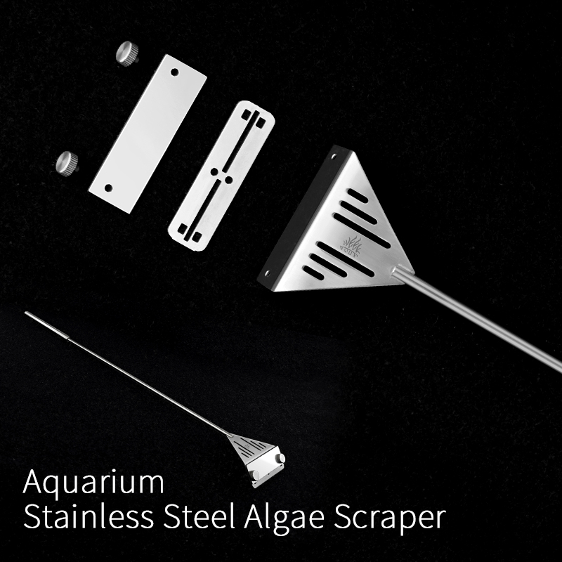 Week Aqua – outil d'entretien  - Algae Scraper Blade avis et prix