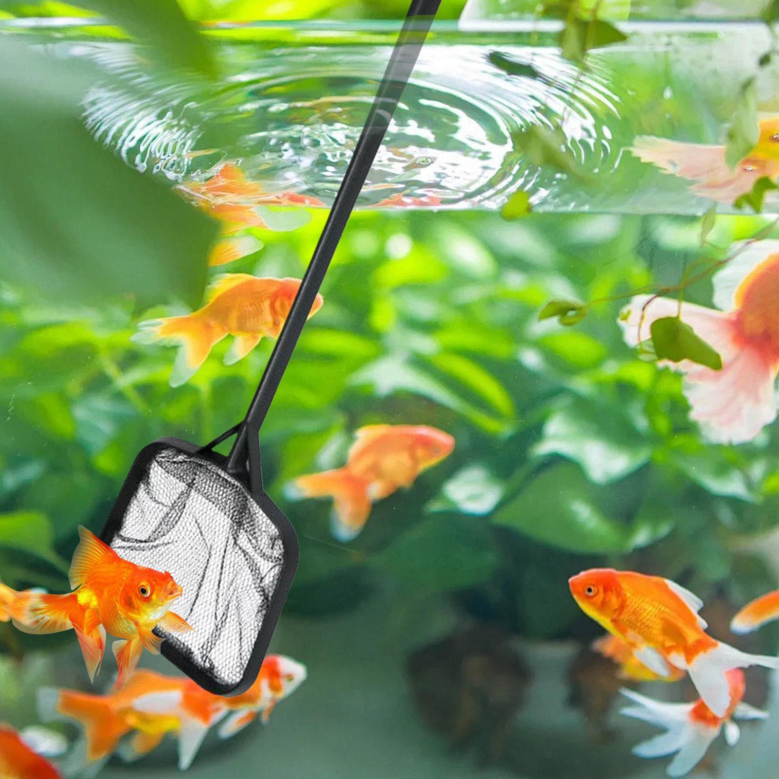 Filets de nettoyage pour pisci - Aquarium Fish Care avis et prix