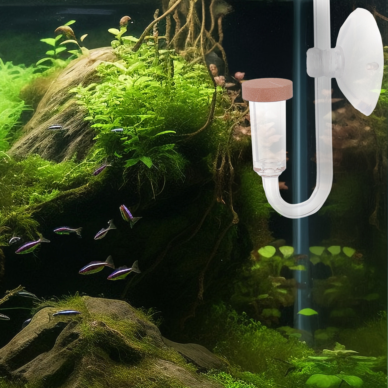 Diffuseur de CO2 pour aquarium - Aquarium Fish Rate avis et prix