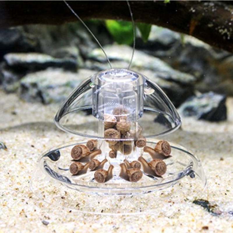 Nettoyeur d'aquarium en plasti - Aquarium Fish Escape avis et prix