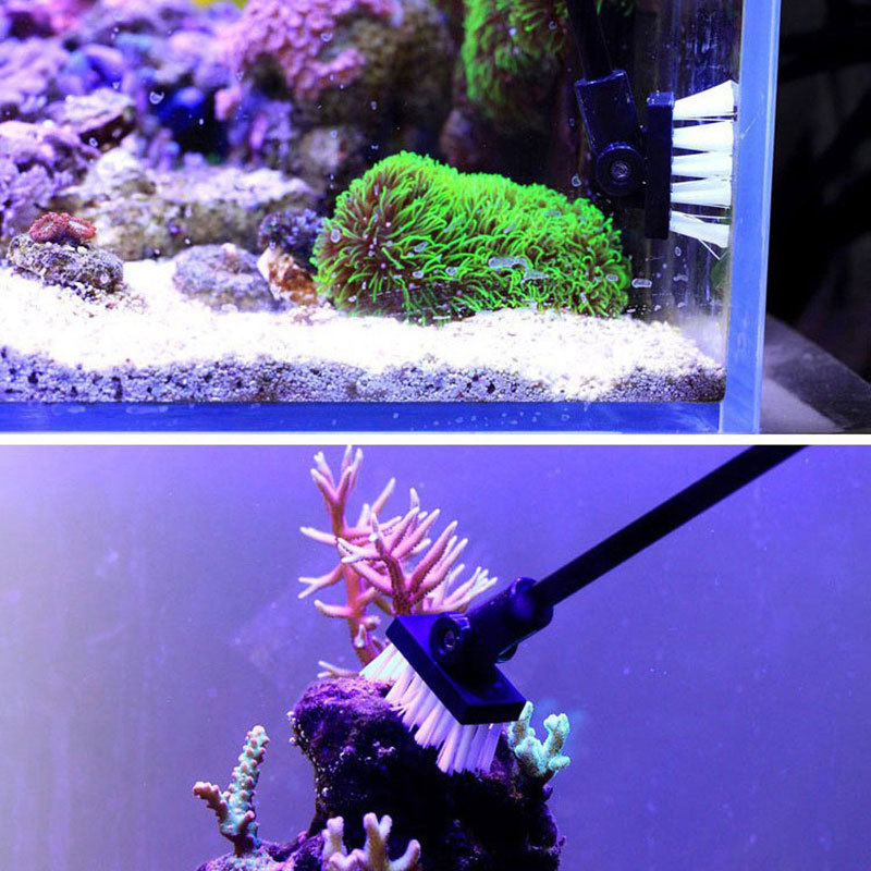Brosse de nettoyage de pêche,  - Algae Scraper Blade avis et prix