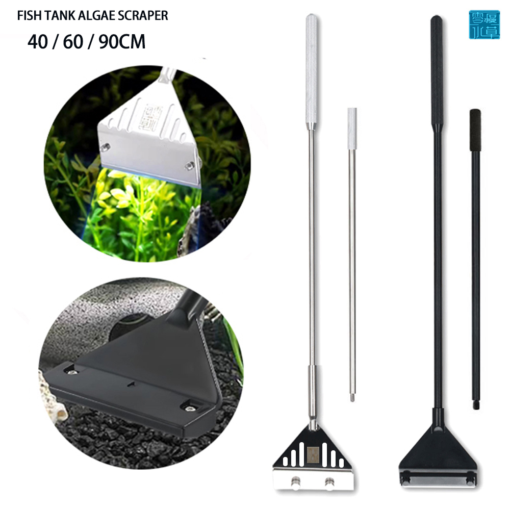 Grattoir à algues en acier ino - Algae Scraper Blade avis et prix