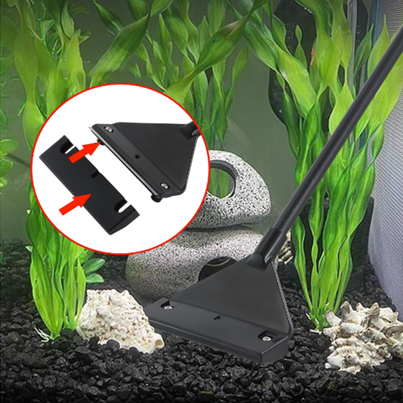 Grattoir à algues en acier ino - Algae Scraper Blade avis et prix
