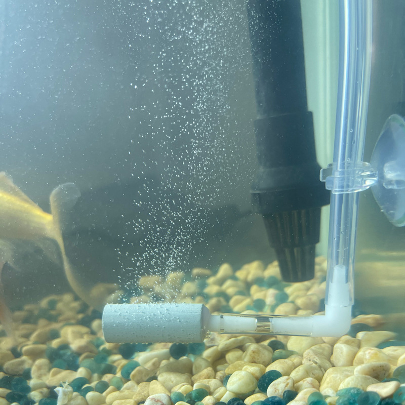Régulateur de système CO2, exc - Aquarium Fish Rate avis et prix