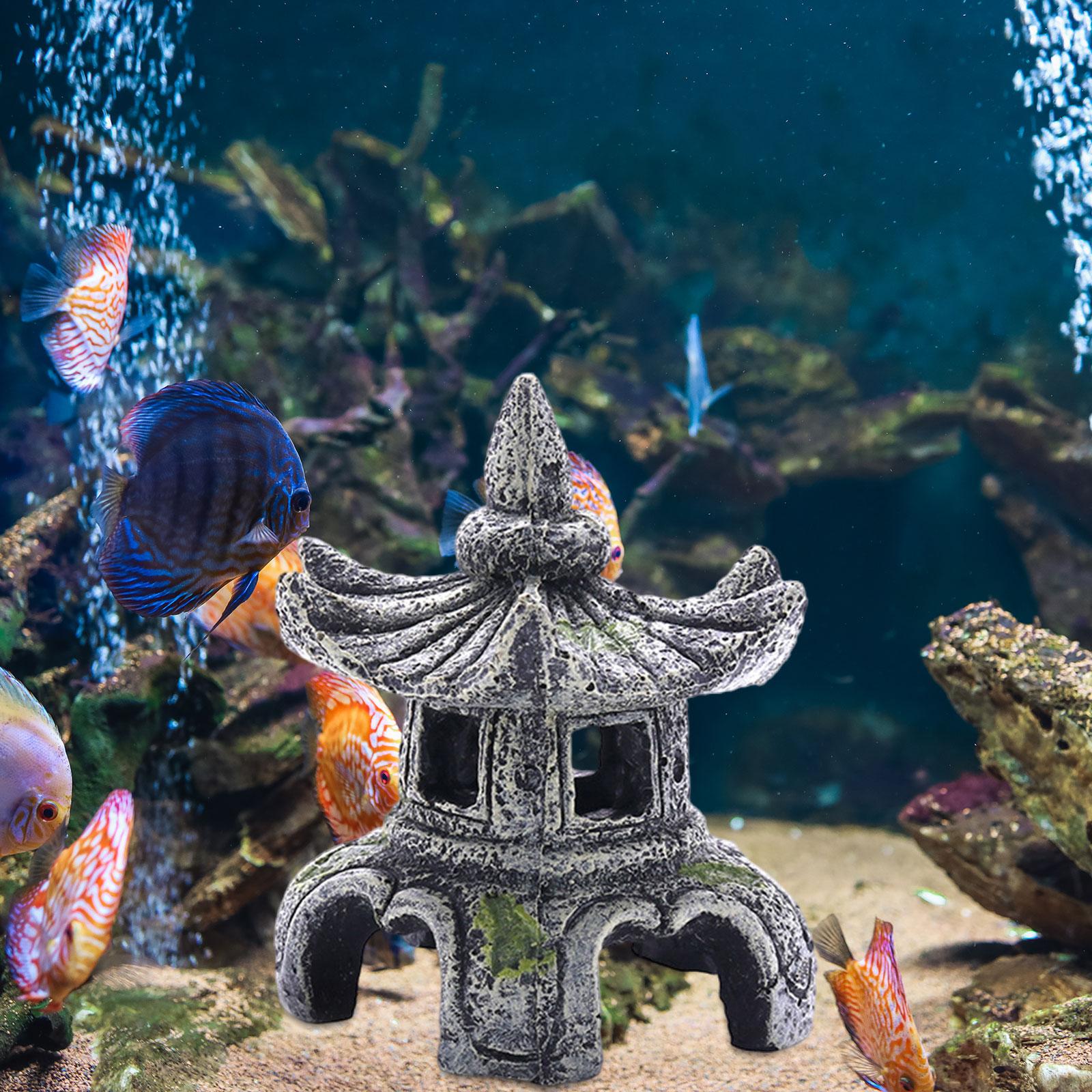 Ornement d'aquarium, accessoir - Aquarium Fish Cichlid avis et prix