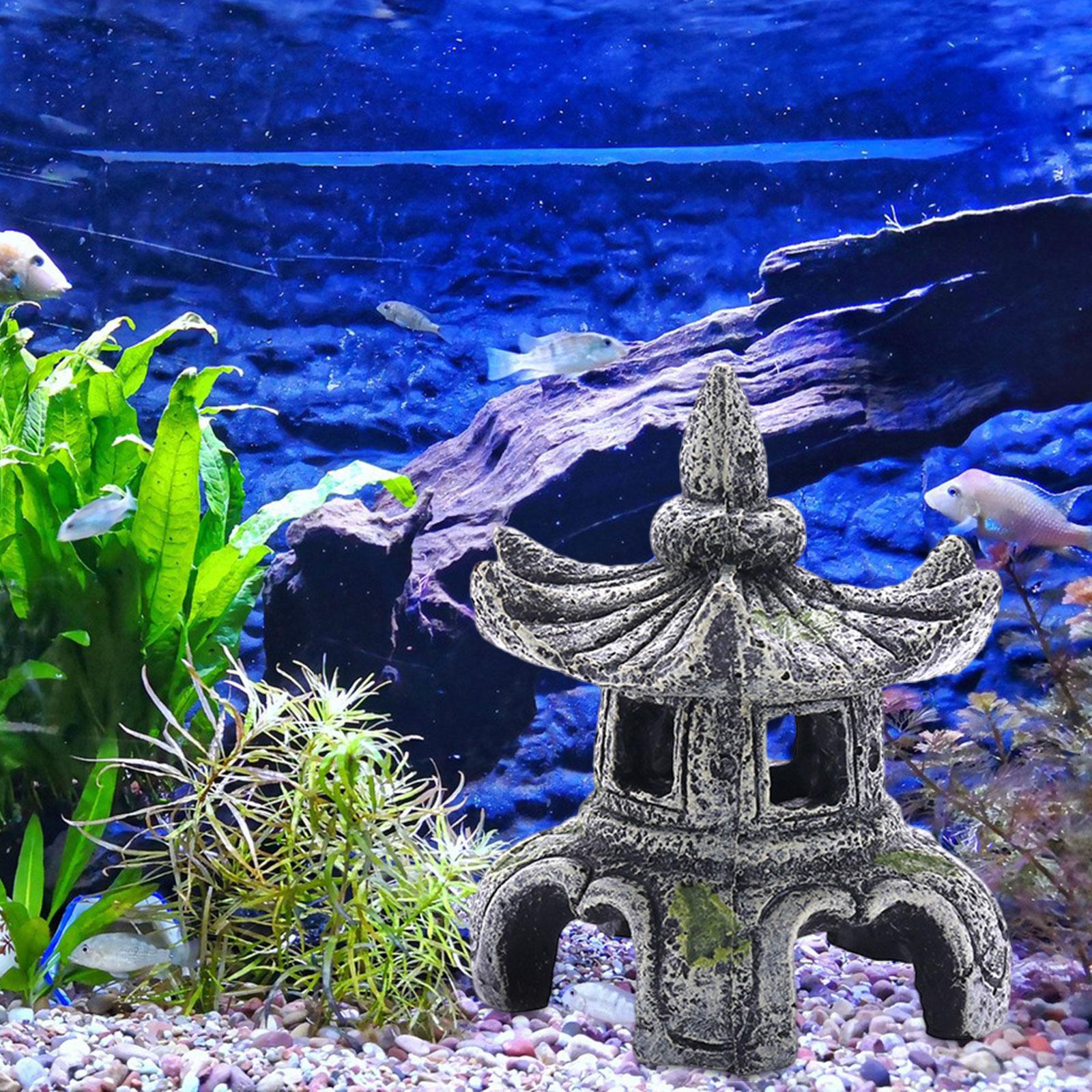 Ornement d'aquarium, accessoir - Aquarium Fish Cichlid avis et prix