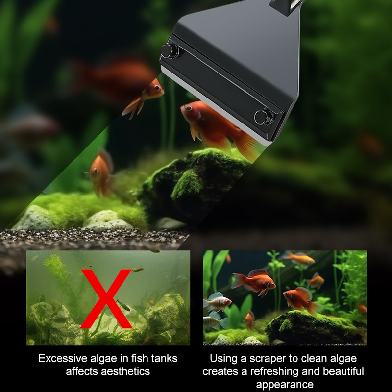 Dissolvant d'algues d'aquarium - Algae Scraper Blade avis et prix