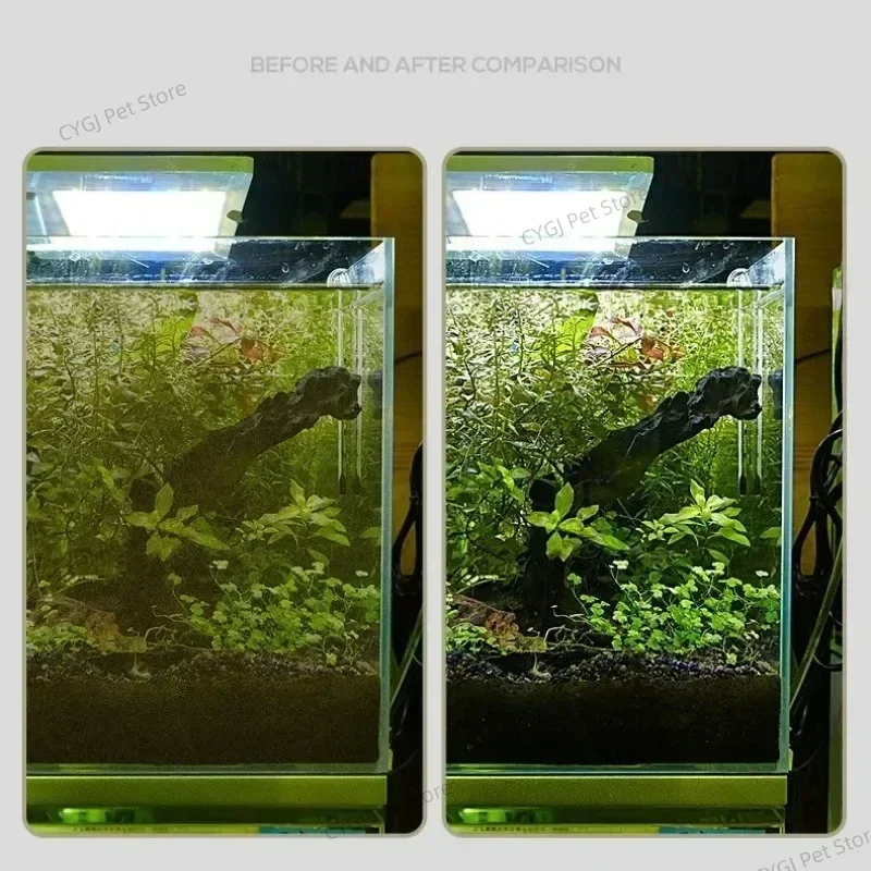 Outil de nettoyage d'aquarium, - Algae Scraper Blade avis et prix