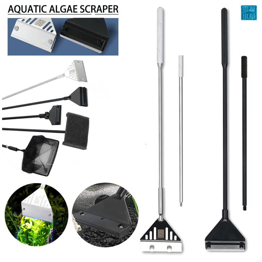 Lame de grattoir d'algues préc - Algae Scraper Blade avis et prix