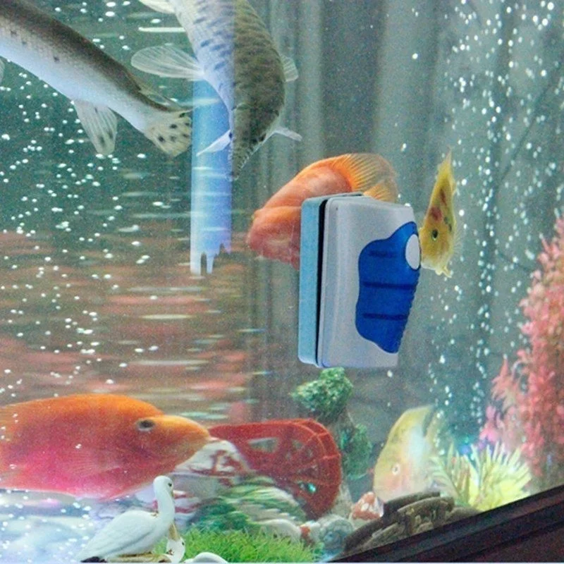 Nettoyeur de grattoir de verre - Aquarium Fish Escape avis et prix
