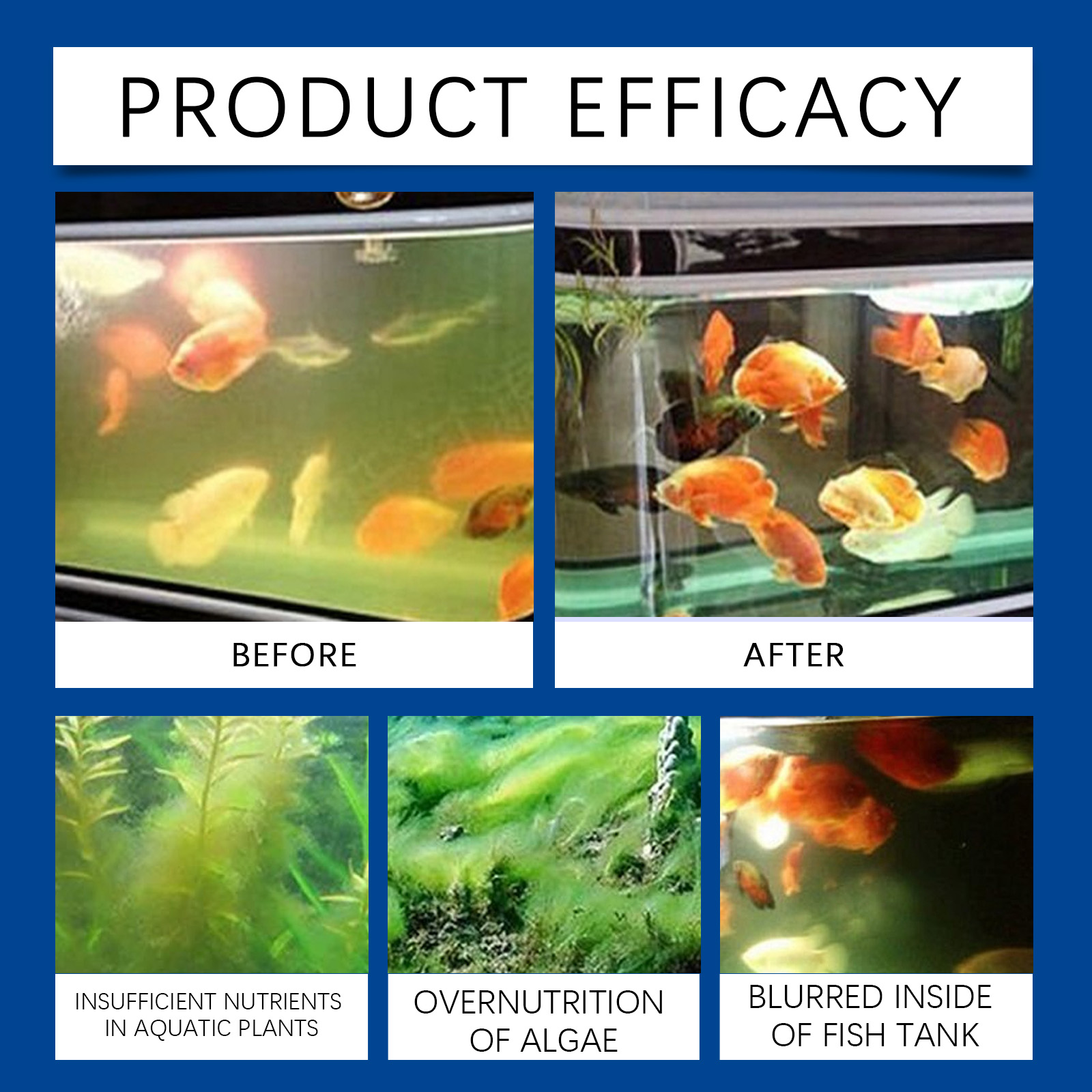Chiarificateur d'eau d'aquariu - Aquarium Fish Care avis et prix