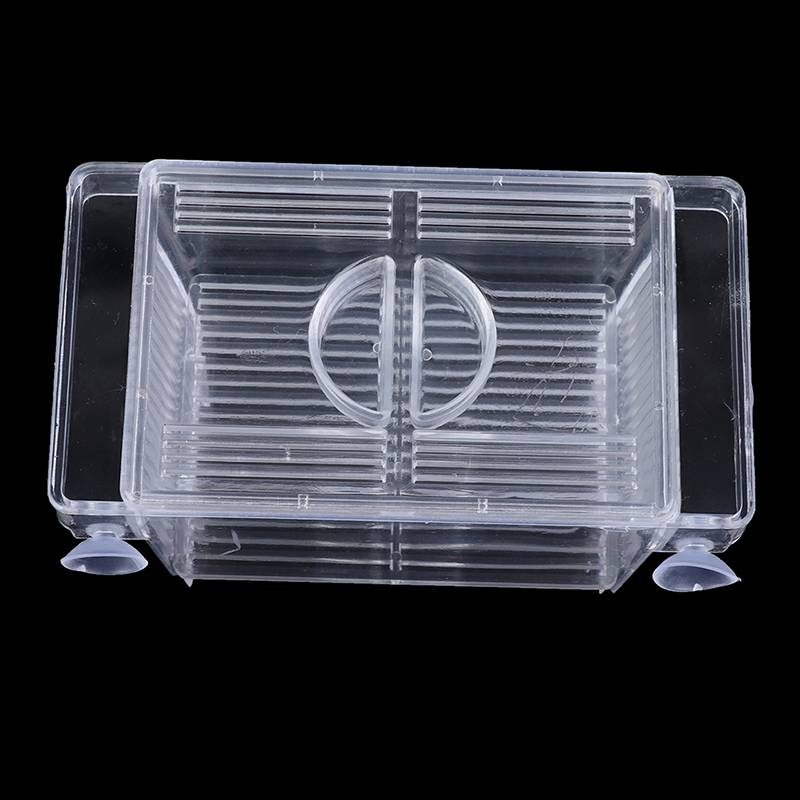 Guppy-Boîte de piège à poisson - Aquarium Fish Escape avis et prix