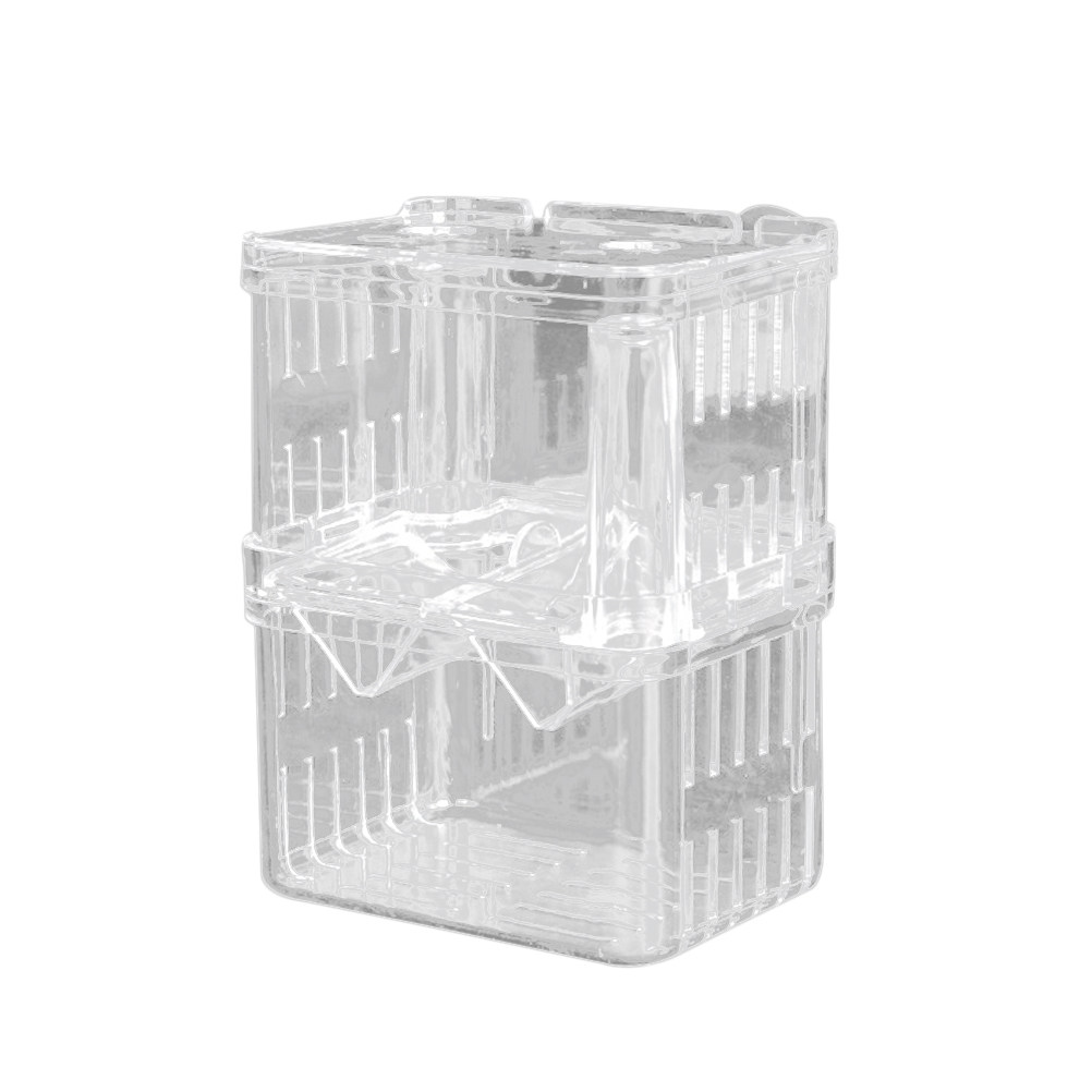 Boîte d'élevage transparente p - Aquarium Fish Rate avis et prix