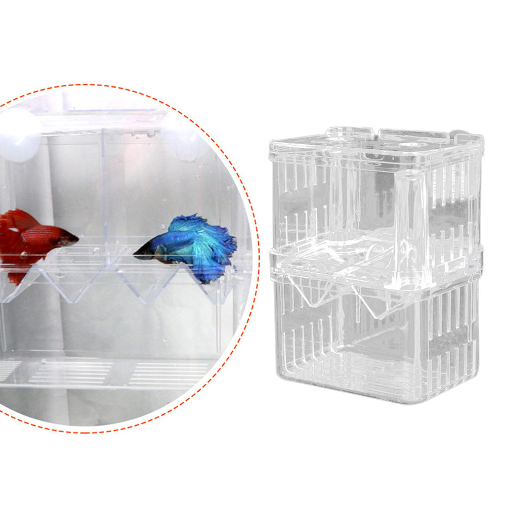 Boîte d'élevage transparente p - Aquarium Fish Rate avis et prix