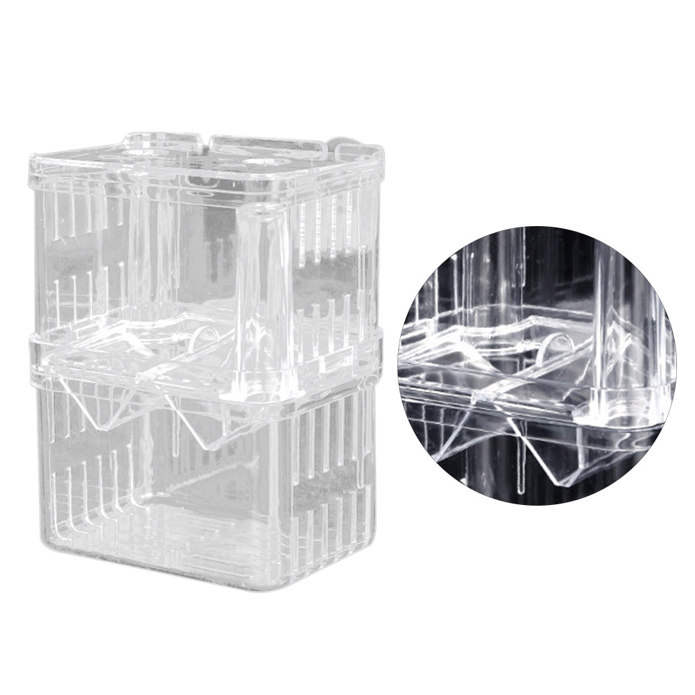 Boîte d'élevage transparente p - Aquarium Fish Rate avis et prix