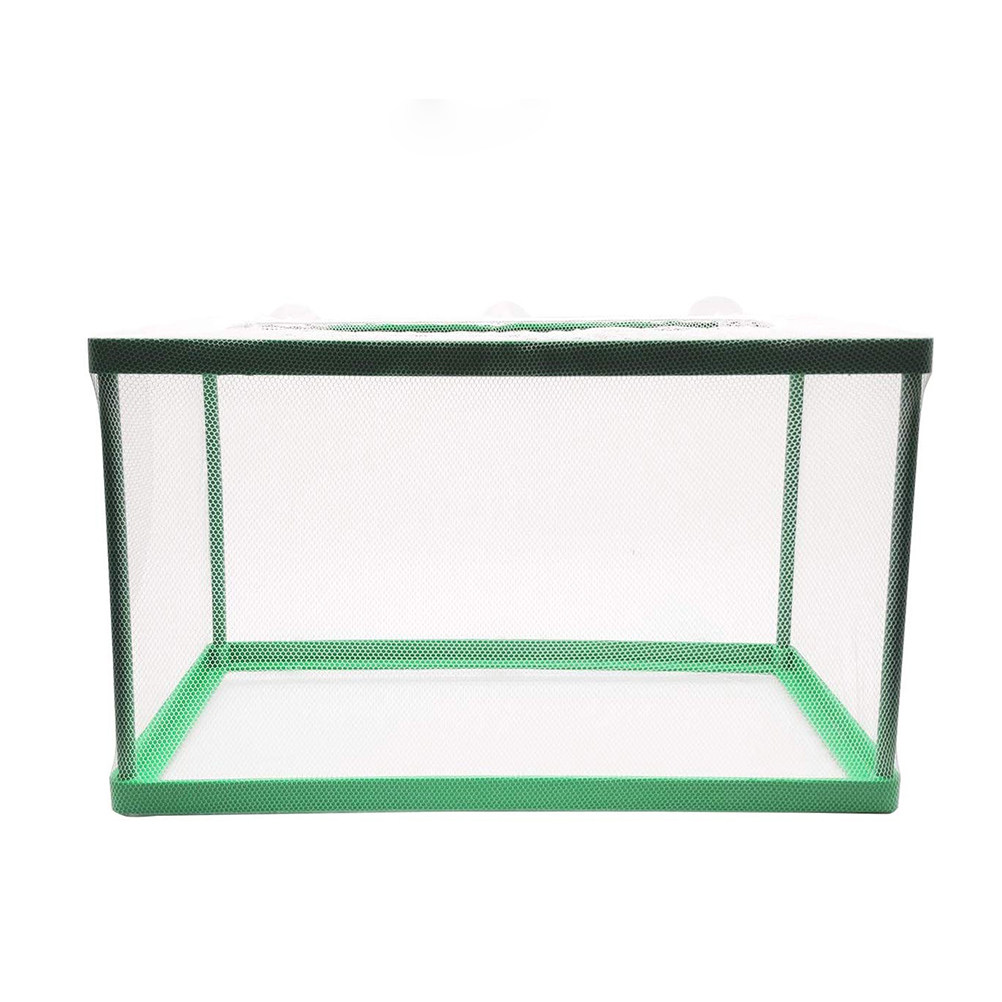 Boîte d'isolement pour l'éleva - Aquarium Fish Rate avis et prix