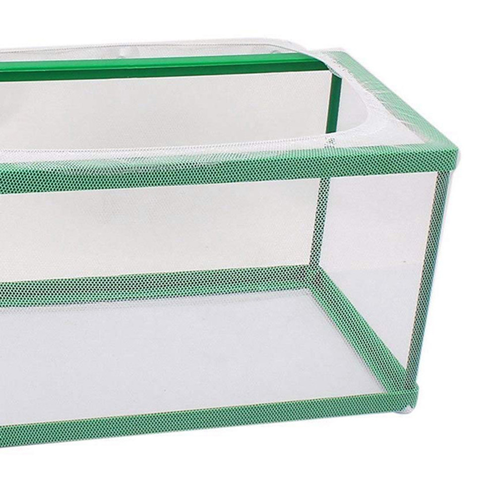 Boîte d'isolement pour l'éleva - Aquarium Fish Rate avis et prix