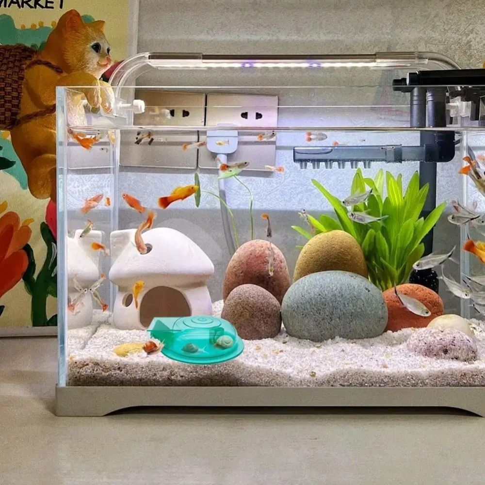 Piège à escargots pour aquariu - Aquarium Fish Escape avis et prix