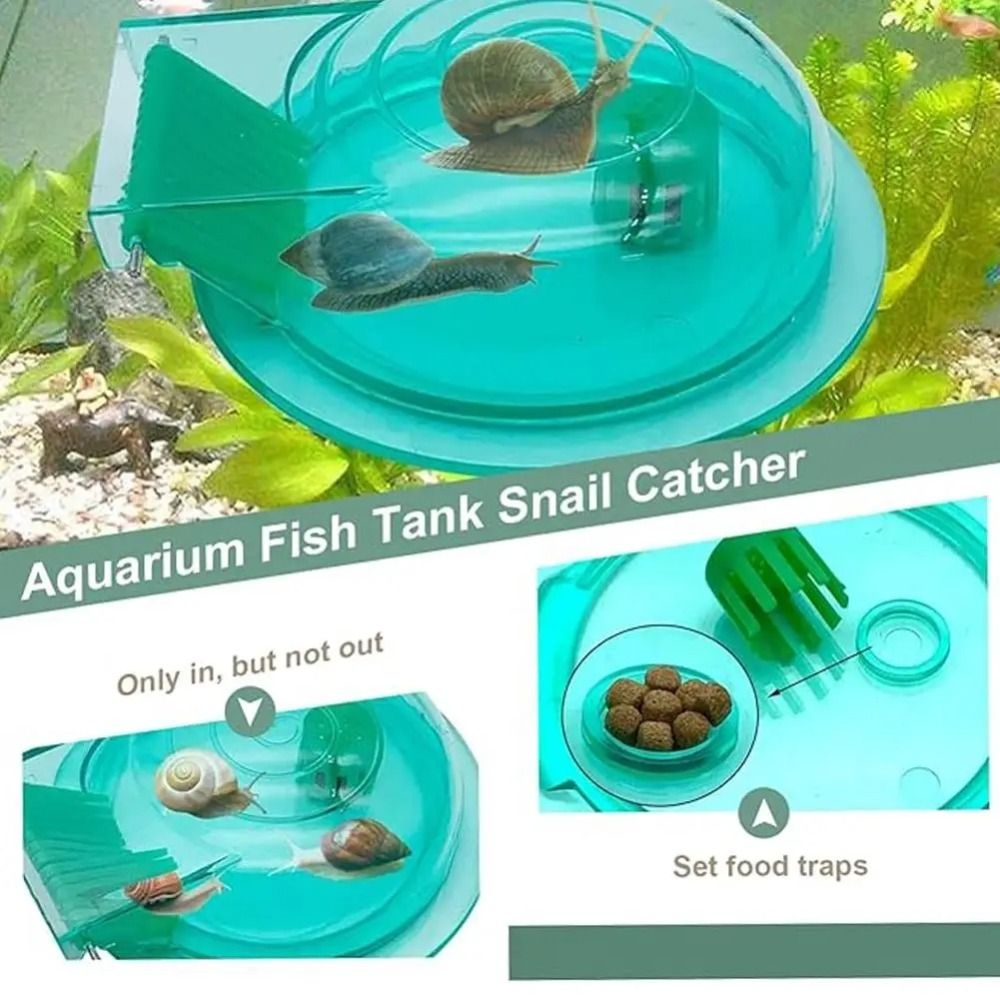 Piège à escargots pour aquariu - Aquarium Fish Escape avis et prix