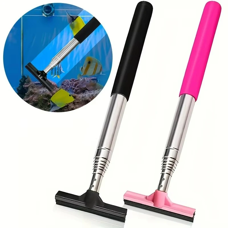 Brosse grattoir télescopique p - Algae Scraper Blade avis et prix