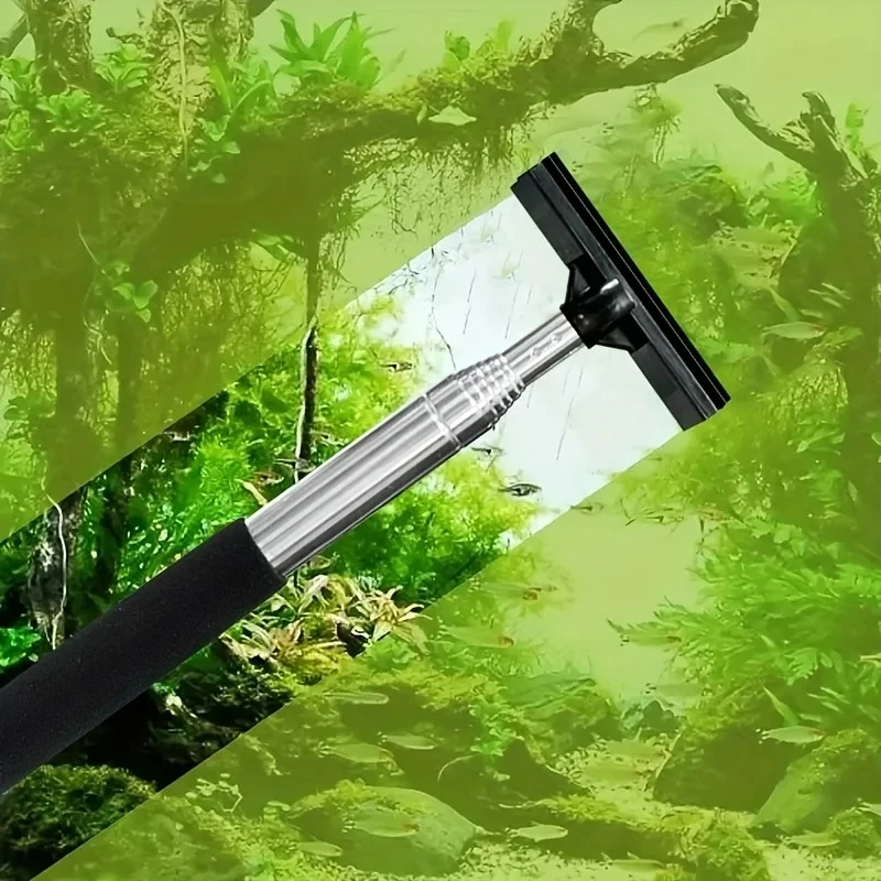 Brosse grattoir télescopique p - Algae Scraper Blade avis et prix