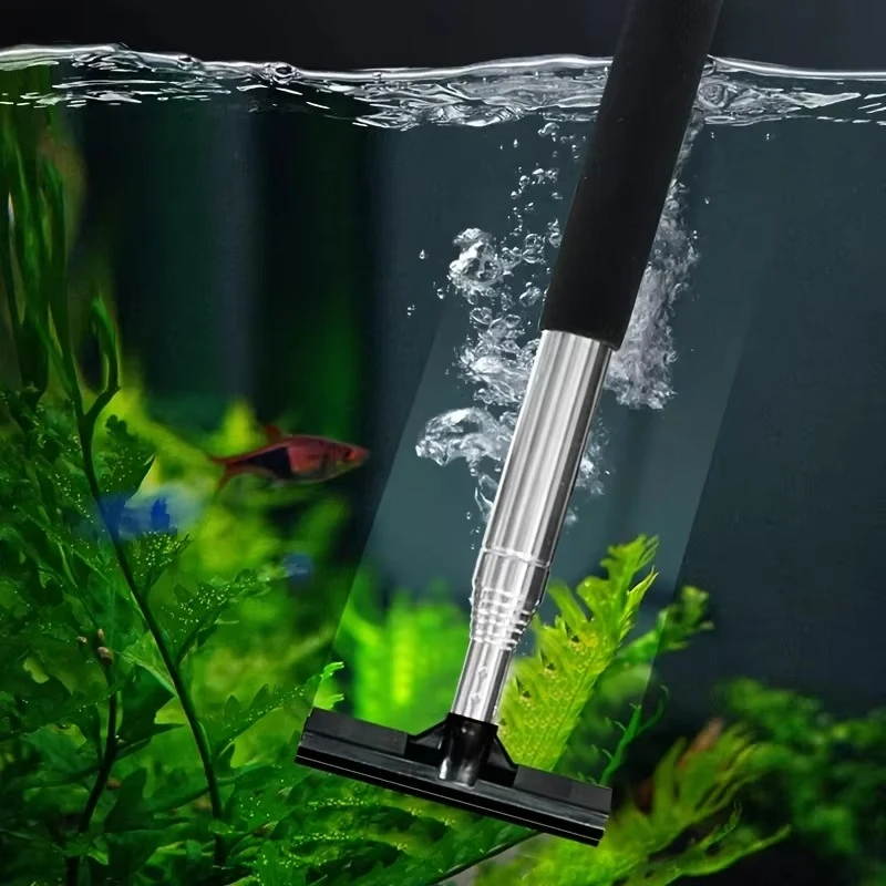 Brosse grattoir télescopique p - Algae Scraper Blade avis et prix