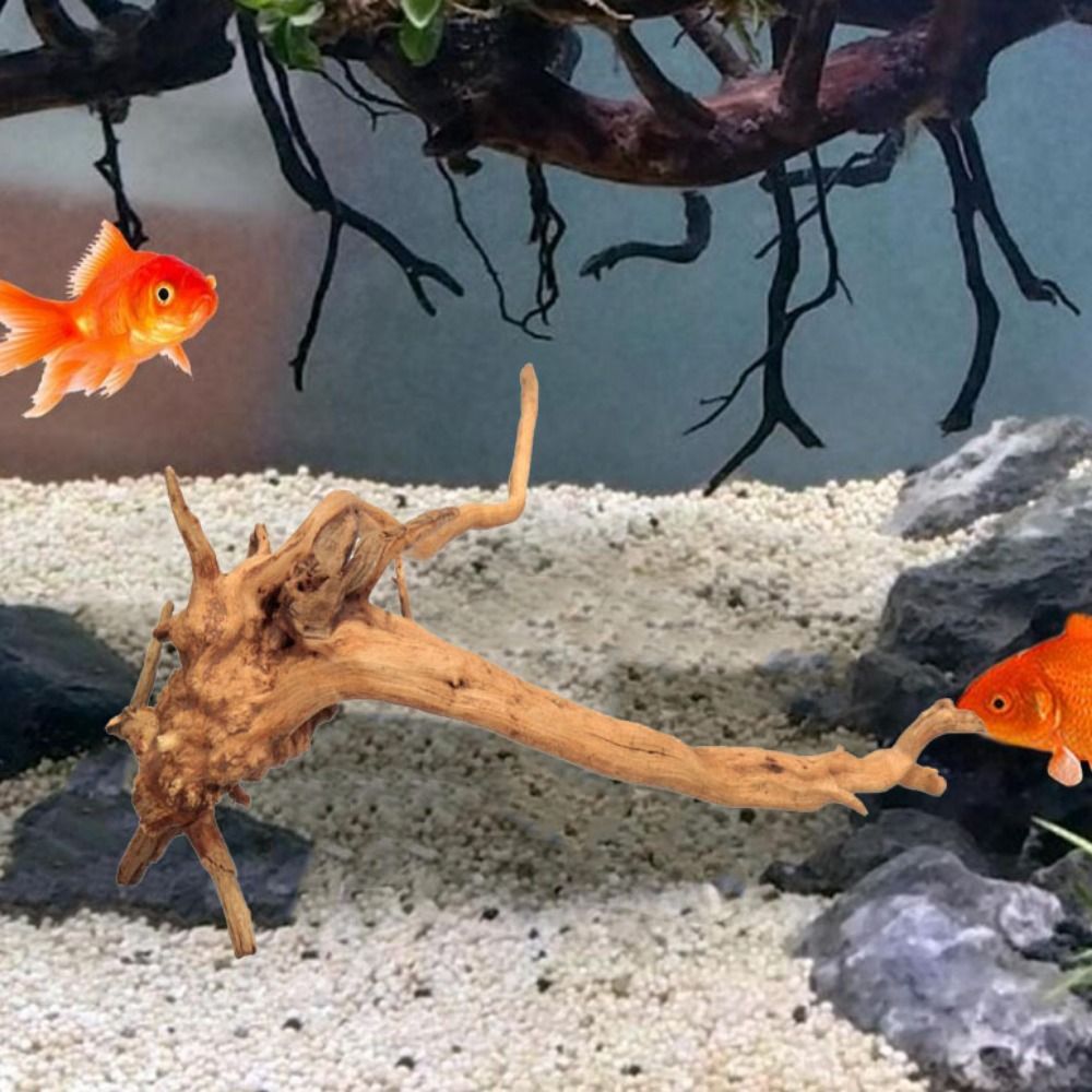 Tronc d'arbre naturel pour déc - Aquarium Fish Cichlid avis et prix