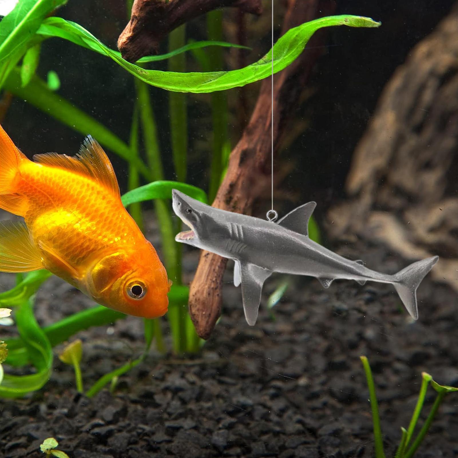 Décoration de paysage d'aquari - Aquarium Fish Escape avis et prix