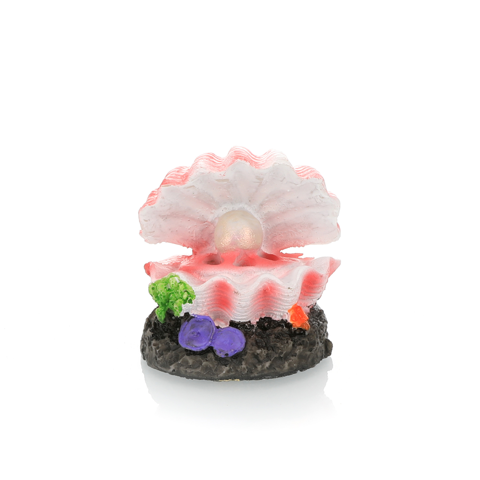 Simulation d'aménagement paysa - Aquarium Fish Cichlid avis et prix