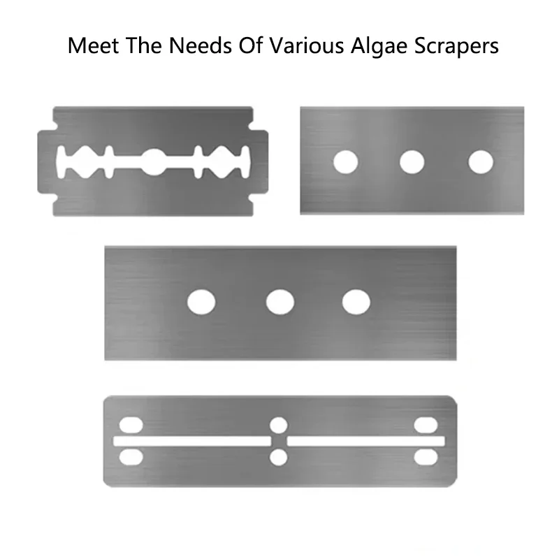 Lame de grattoir pour dissolva - Algae Scraper Blade avis et prix