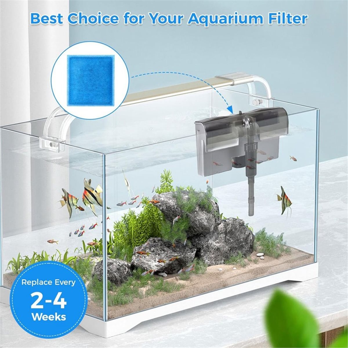 《TOP RATED》10 cartouches de re - Aquarium Fish Rate avis et prix