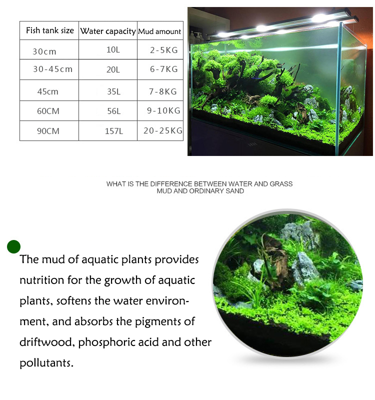 Sol de graines de plantes d'aq - Aquarium Fish Care avis et prix
