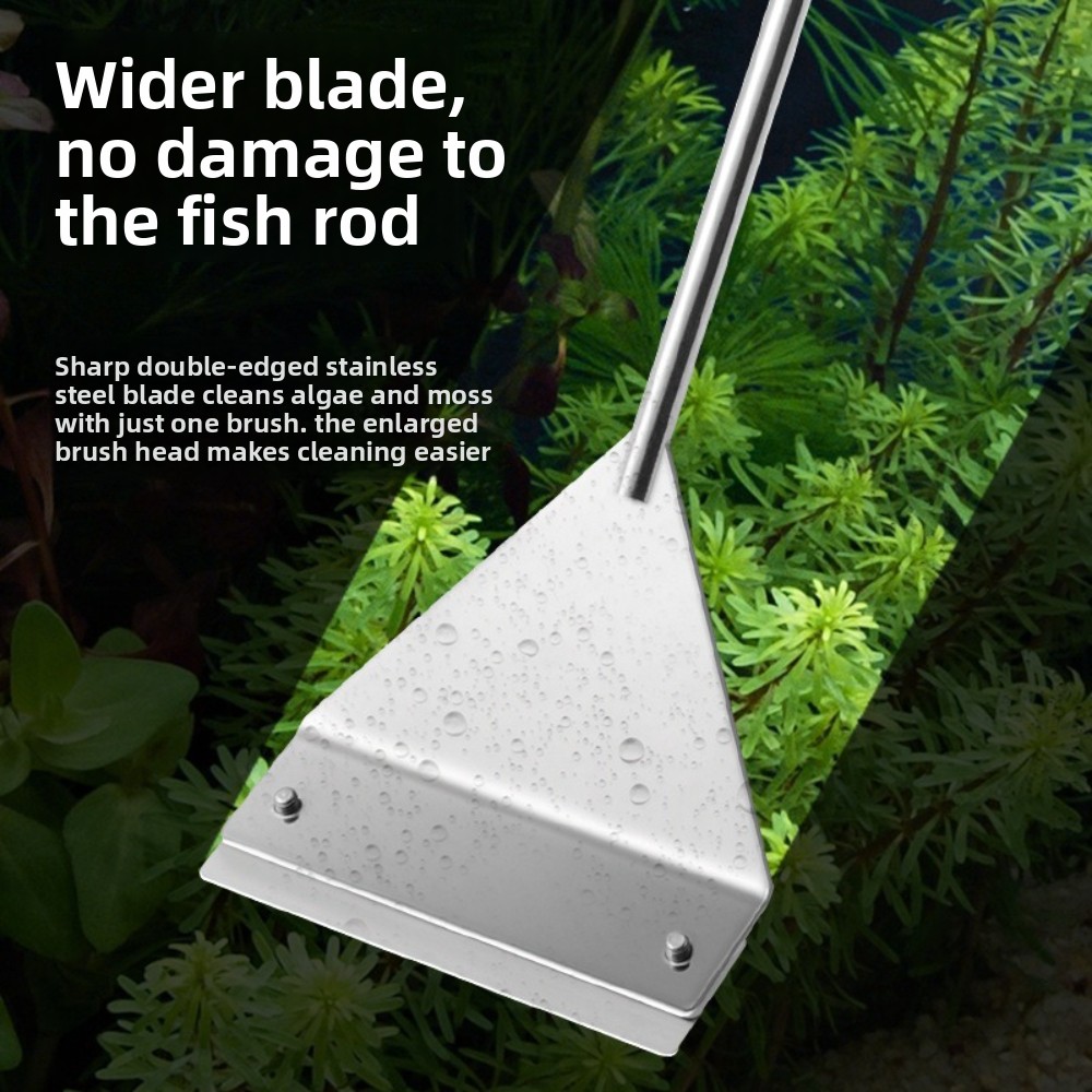 Grattoir à algues pour aquariu - Algae Scraper Blade avis et prix