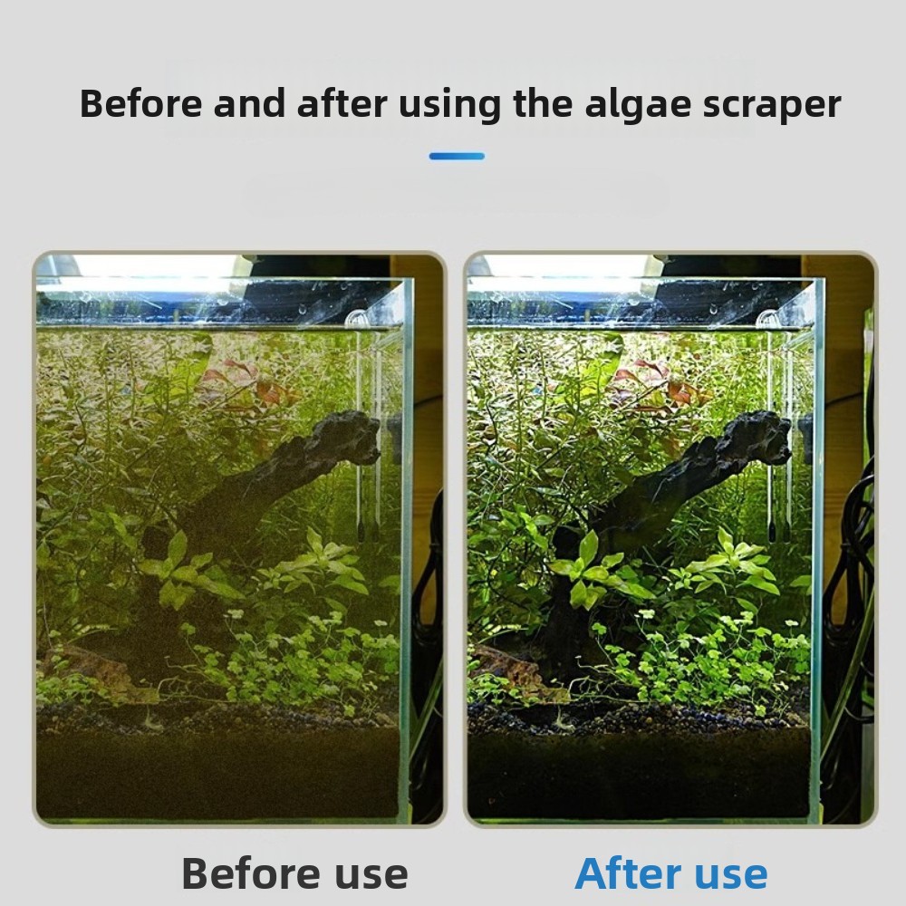 Grattoir à algues pour aquariu - Algae Scraper Blade avis et prix
