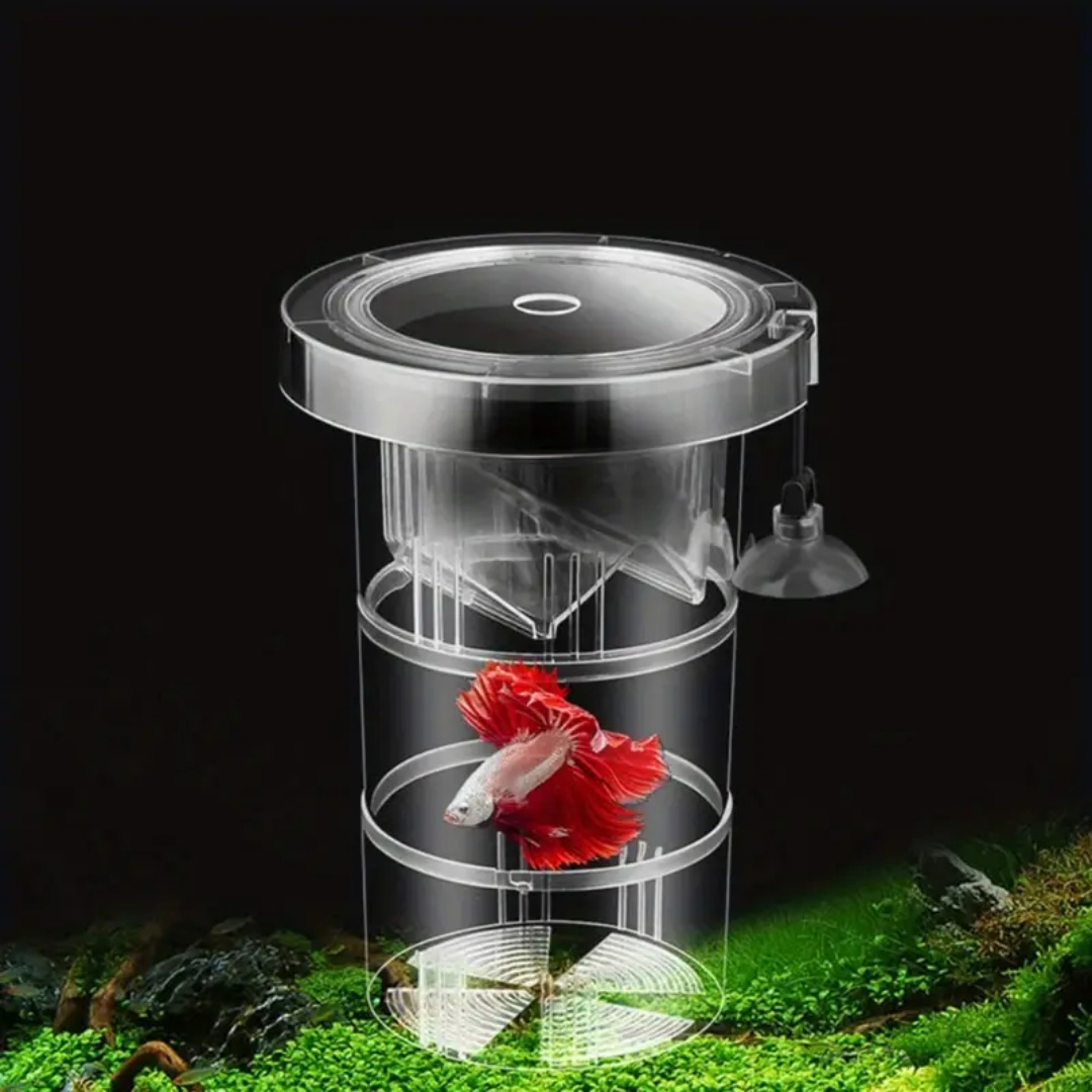 Boîte d'isolation flottante en - Aquarium Fish Escape avis et prix