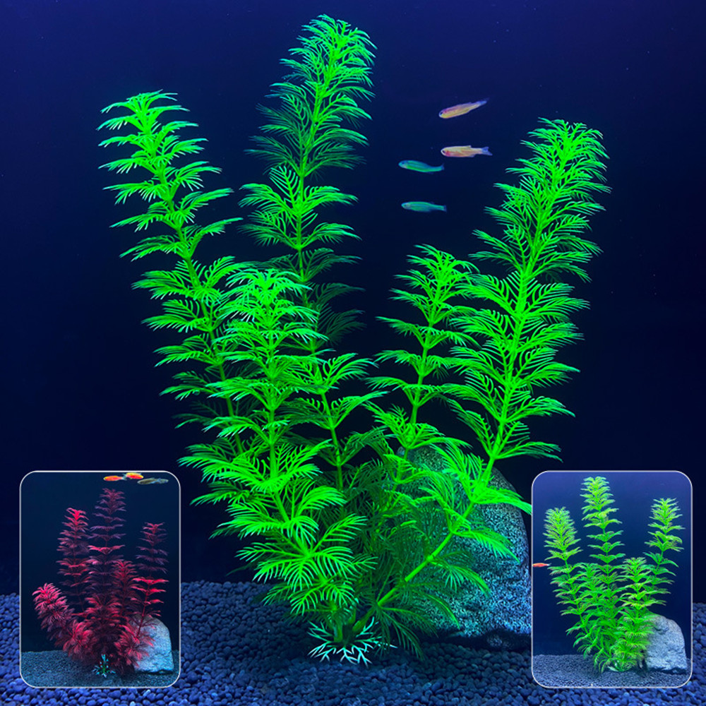 Plantes d'aquarium artificiell - Aquarium Fish Cichlid avis et prix