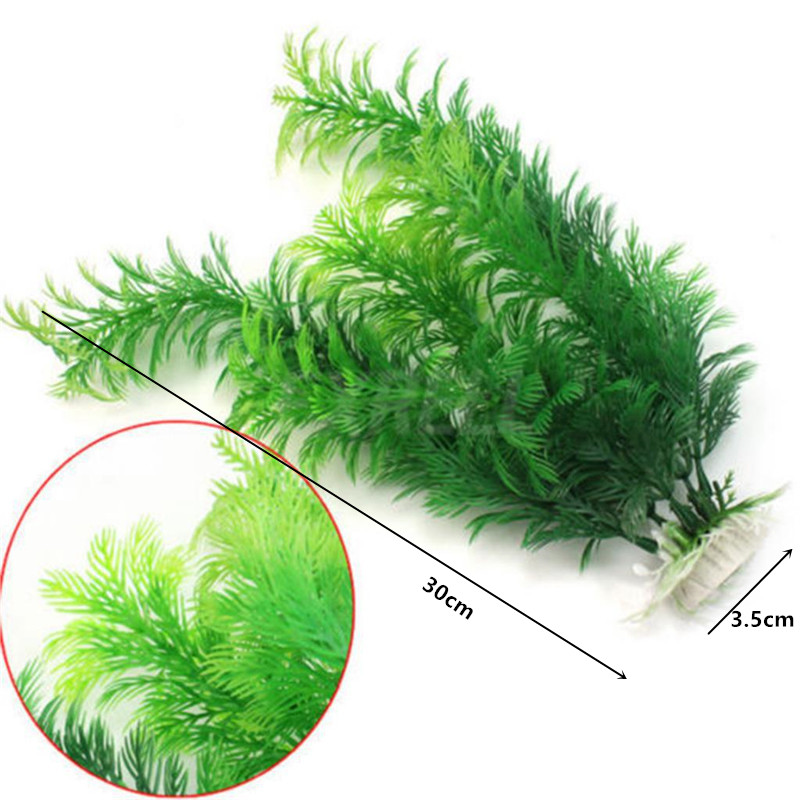 Plantes d'aquarium artificiell - Aquarium Fish Cichlid avis et prix