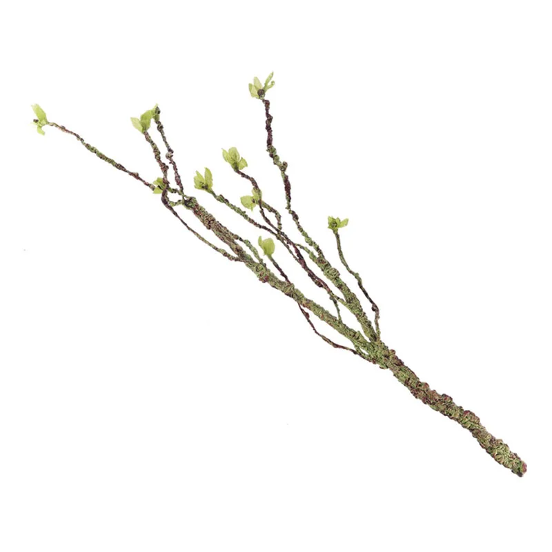 Vignes décor Branches d'escala - Aquarium Fish Cichlid avis et prix