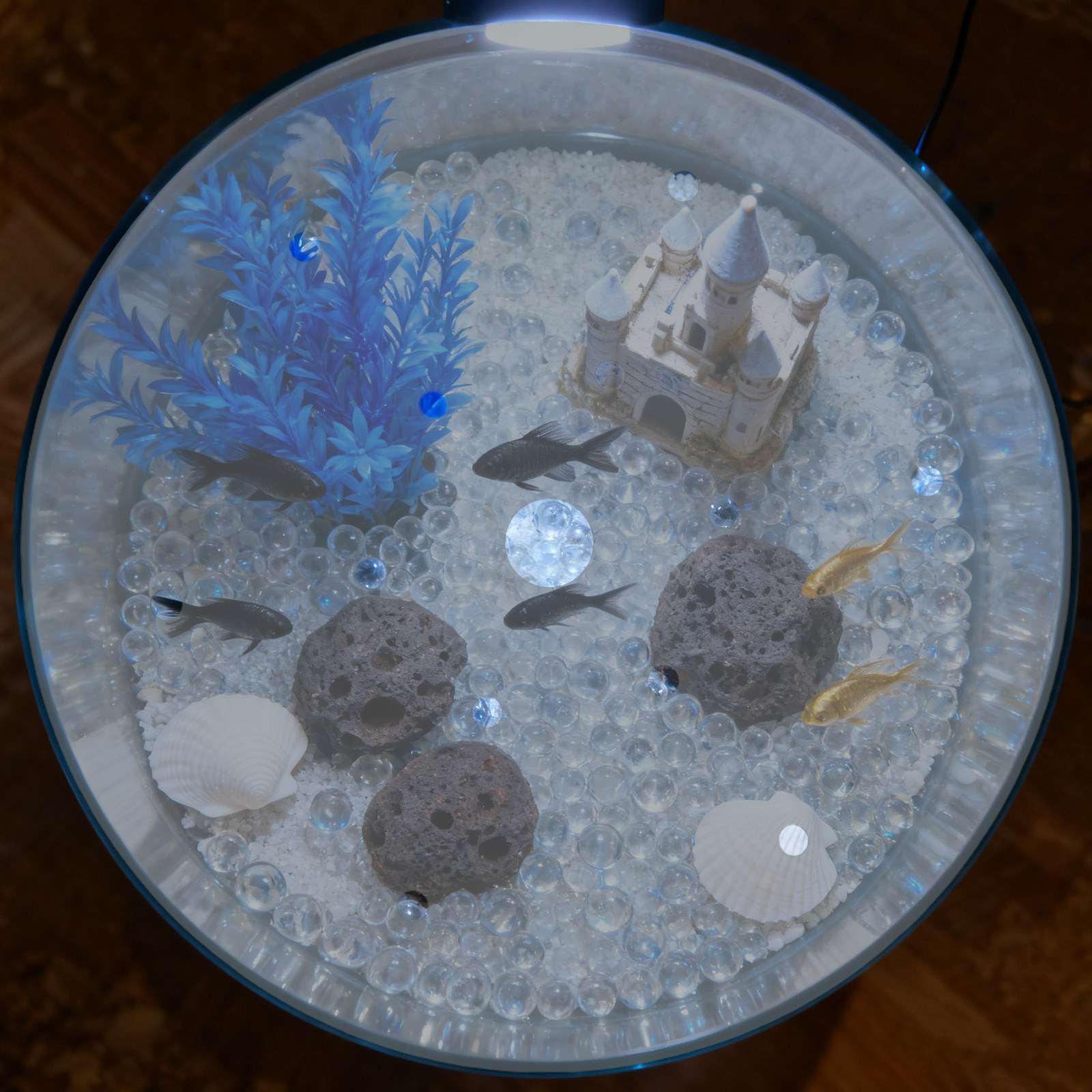 Couverture ronde en acrylique  - Aquarium Fish Escape avis et prix