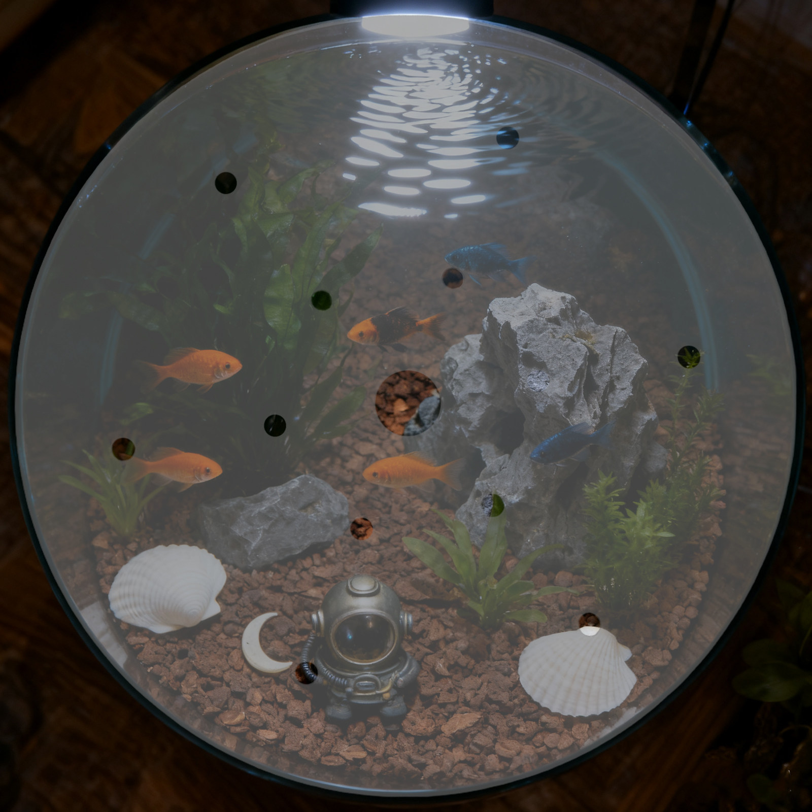 Couverture ronde en acrylique  - Aquarium Fish Escape avis et prix